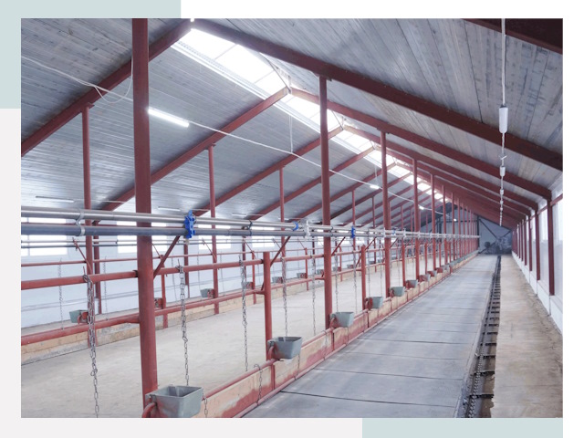 Строительство коровников в Колпино от 619 руб.