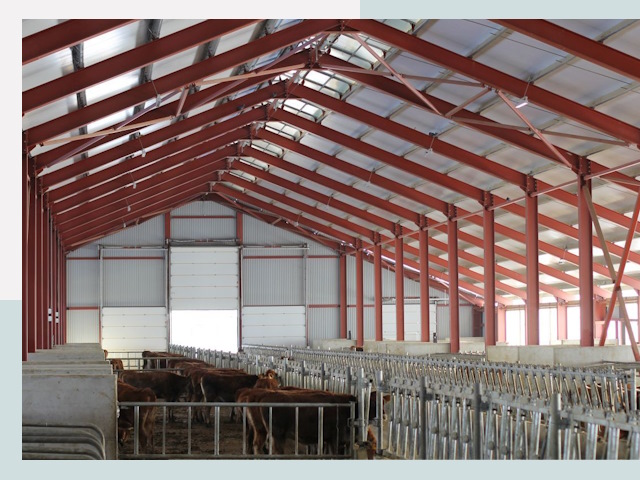 Строительство коровников в Колпино