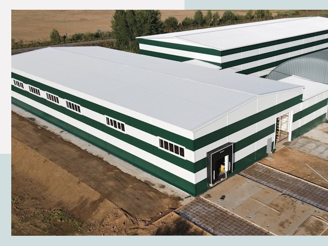 Строительство овощехранилищ в Колпино