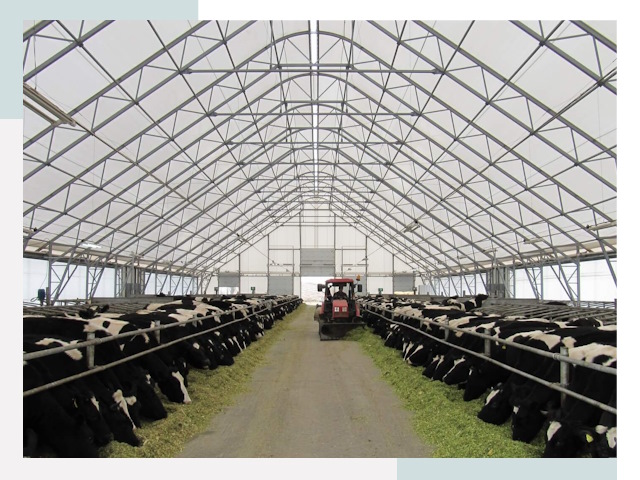 Тентовые коровники в Колпино от 619 руб. - Надежно и доступно